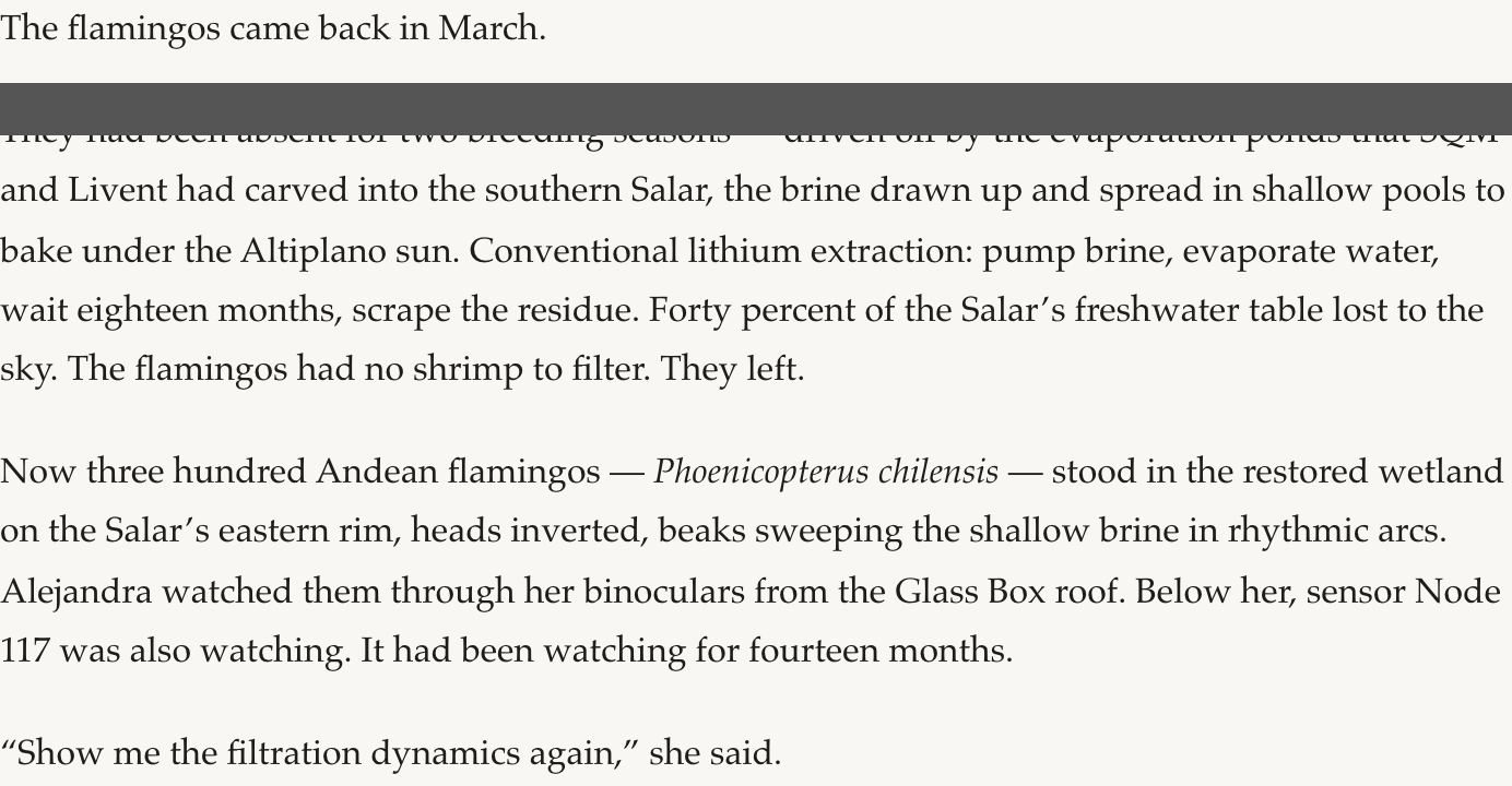 Preview of The Flamingo Protocol